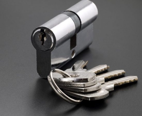 Pin tumbler of cylinder lock internal mechanism and set of keys